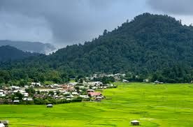 Gofero image